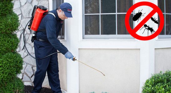Canik Hamam Böceği İlaçlama böcek ilaçlama ve haşere kontrolü — ilaclama-tr.com